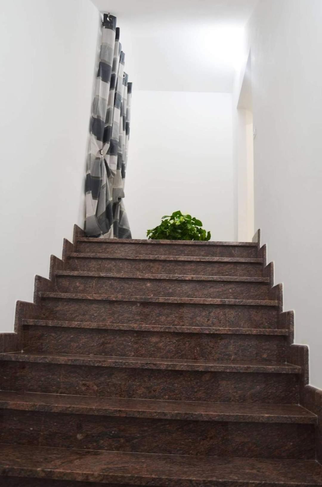 La Tana Delle Lepri Bed & Breakfast Morolo Dış mekan fotoğraf